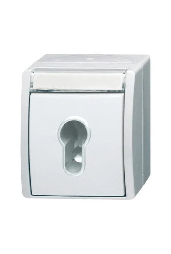 BUSCH-JAEGER AP Schl.Schalter 2733 SLW-54