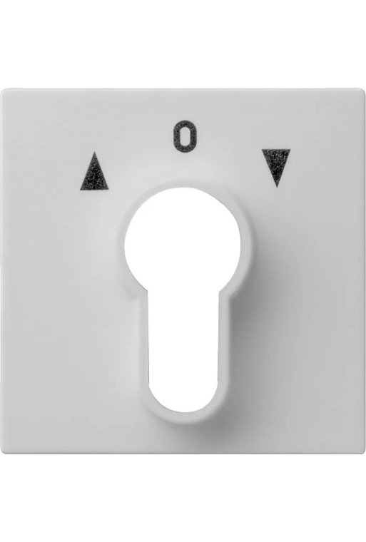GIRA Abd. Schlüsselschalter/-taster System 55 Grau m