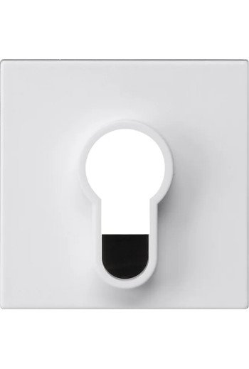 GIRA Abd.Schlüsselschalter/-taster o.Aufdruck System 55 Reinweiß m