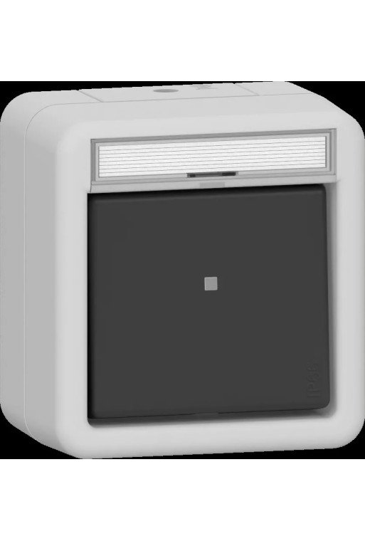 GIRA Wipptaster Schließer sMK BSF WD AP Grau
