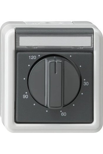 GIRA Zeitschalter 2-p 120 min BSF WG AP Grau