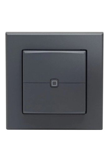 HOMEMATIC Homematic IP Wandtaster 2-fach anthrazit für 55 x 55 Rahmen