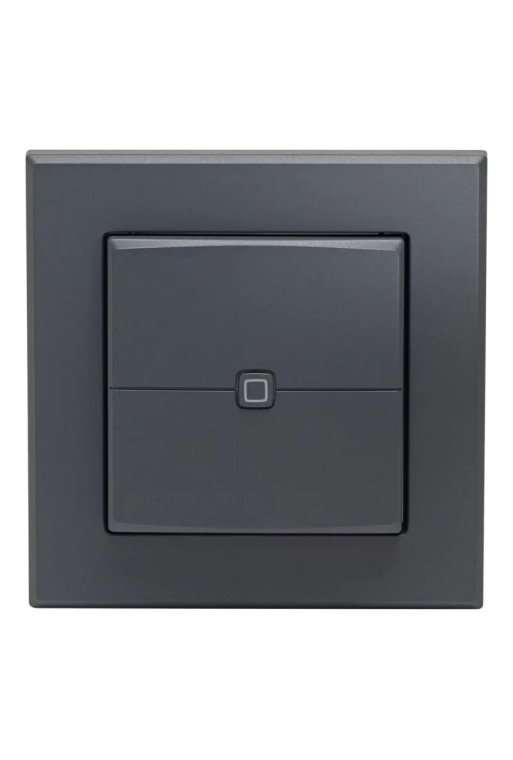 HOMEMATIC Homematic IP Wandtaster 2-fach anthrazit für 55 x 55 Rahmen