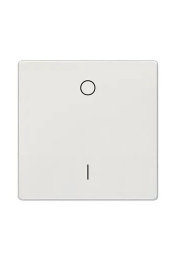 SIEMENS Wippe mit Symbolen I/O DELTA style