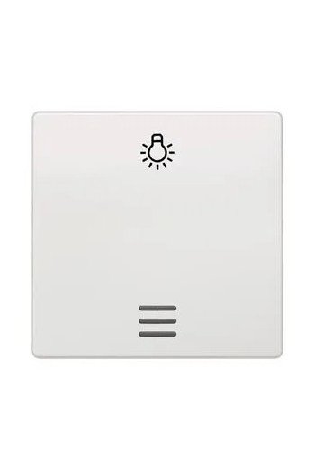 SIEMENS Wippe mit Fenster und Symbol Licht DELTA i-system