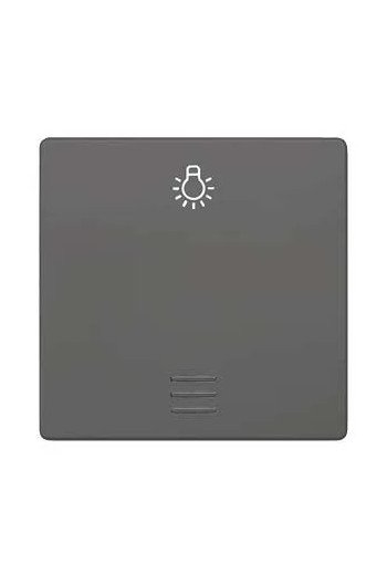 SIEMENS Wippe mit Fenster und Symbol Licht DELTA i-system