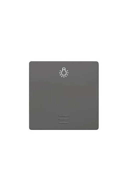 SIEMENS Wippe mit Fenster und Symbol Licht DELTA i-system