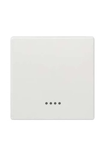 SIEMENS Wippe mit Fenster DELTA style