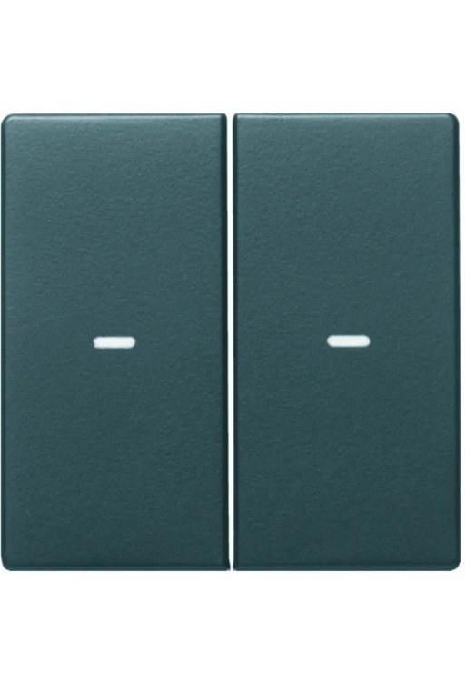 BERKER KNX Q.x Abdeckung 2fach mit klarer Linse anthrazit samt