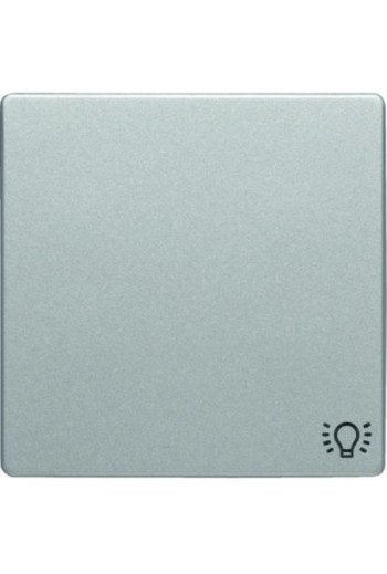 BERKER Q.x Wippe mit Aufdruck Symbol Licht alu samt
