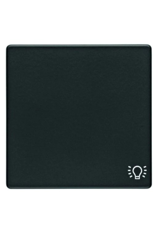 BERKER Q.x Wippe mit Aufdruck Symbol Licht anthrazit samt