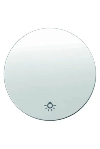 BERKER R.x Wippe mit Aufdruck Symbol Licht polarweiß glänzend