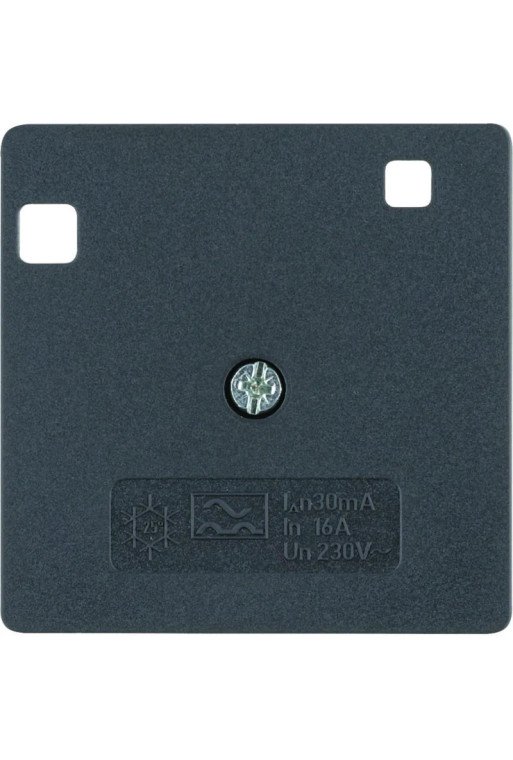 BERKER Zentralstück 50 x 50 mm für FI-Schutzschalter anthrazit matt