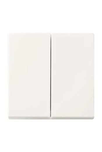 BUSCH-JAEGER B SI FoH-Bedienelement 2-f 6736 FoH-914