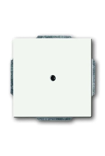 BUSCH-JAEGER FU/SO Blindzentralscheibe 1742-884