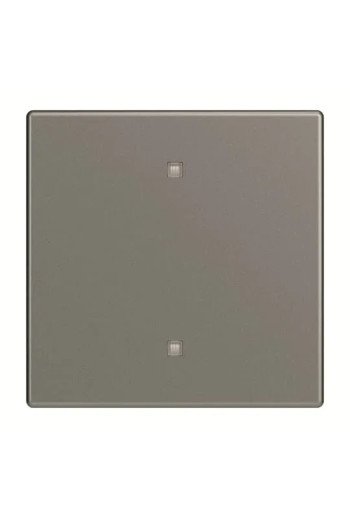 BUSCH-JAEGER FU/SO Wippe Elektroniktaster 2570-10-803