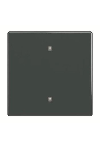 BUSCH-JAEGER FU/SO Wippe Elektroniktaster 2570-10-81