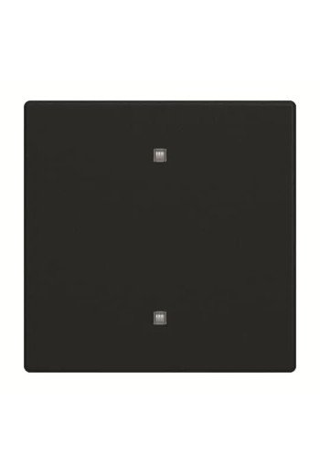 BUSCH-JAEGER FU/SO Wippe Elektroniktaster 2570-10-885