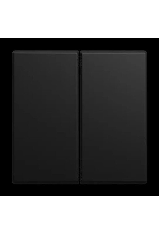 BUSCH-JAEGER Wippe 2-fach Smart Switch