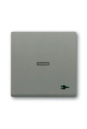 BUSCH-JAEGER Wippe Kontr Stecker 1789 ST-803
