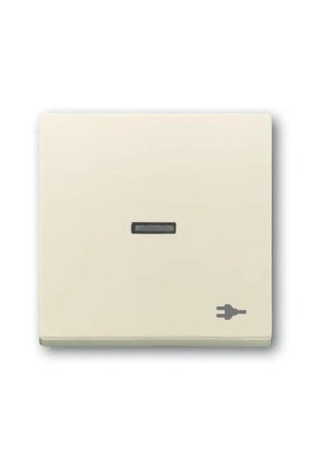 BUSCH-JAEGER Wippe Kontr Stecker 1789 ST-82