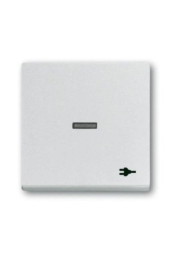 BUSCH-JAEGER Wippe Kontr Stecker 1789 ST-83
