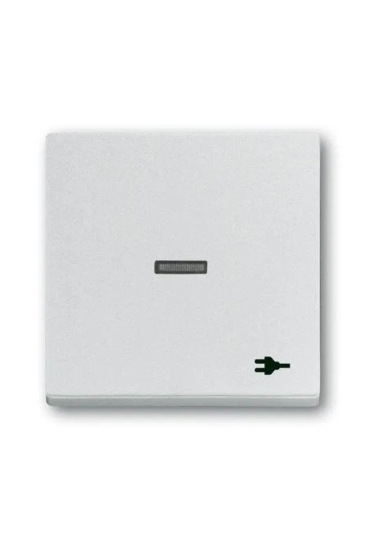 BUSCH-JAEGER Wippe Kontr Stecker 1789 ST-83