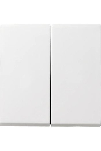 GIRA Wippe 2f + Set IP44 Standard 55