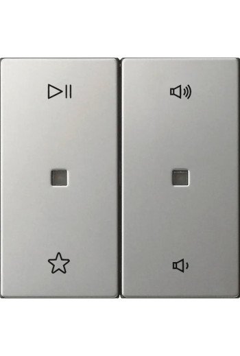 GIRA Wippe 2f Audiostrg System 55 Edelstahl