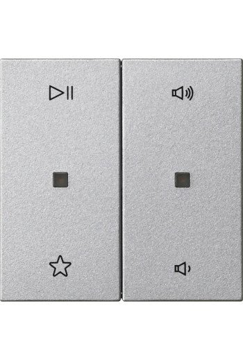 GIRA Wippe 2f Audiostrg System 55 F Alu