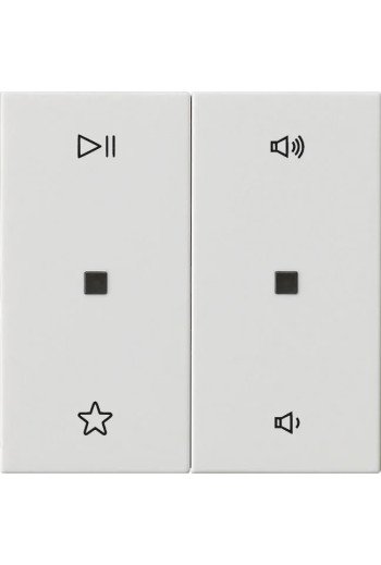 GIRA Wippe 2f Audiostrg System 55 Reinweiss