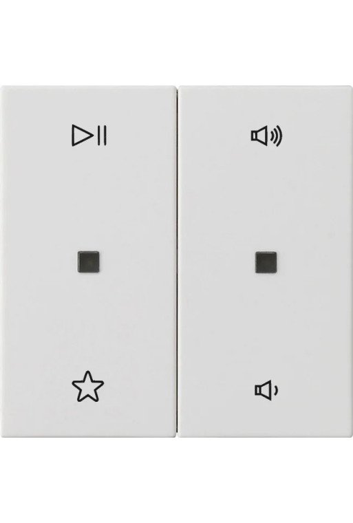 GIRA Wippe 2f Audiostrg System 55 Reinweiss m