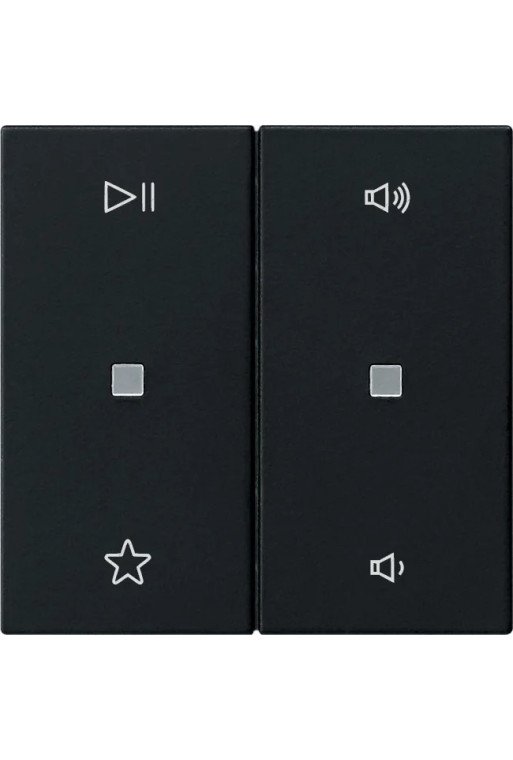 GIRA Wippe 2f Audiostrg System 55 Schwarz m