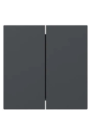 GIRA Wippe 2f gerade System 55 Anthrazit