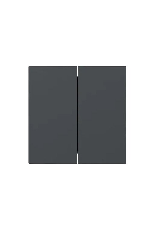 GIRA Wippe 2f gerade System 55 Anthrazit