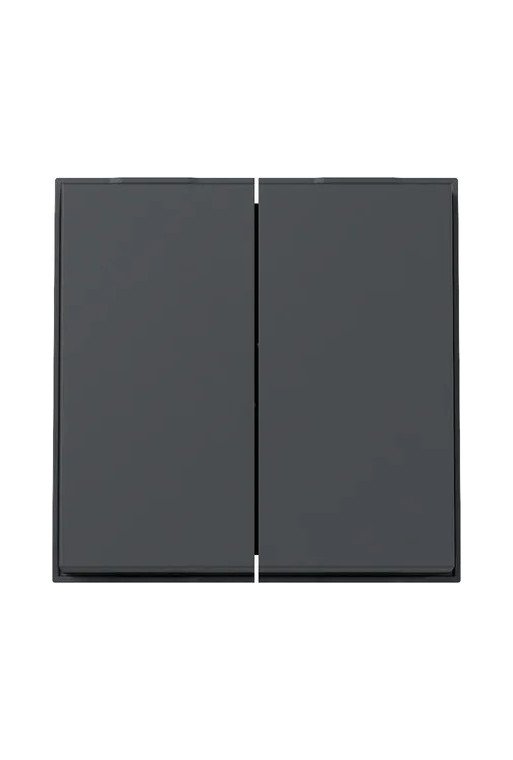 GIRA Wippe 2f Gira TX_44 (WG UP) Anthrazit