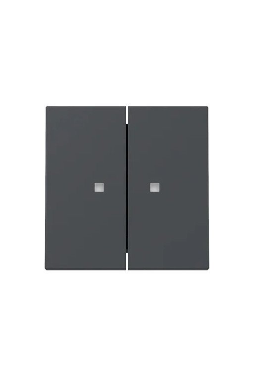 GIRA Wippe 2f Kontrollf. System 55 Anthrazit