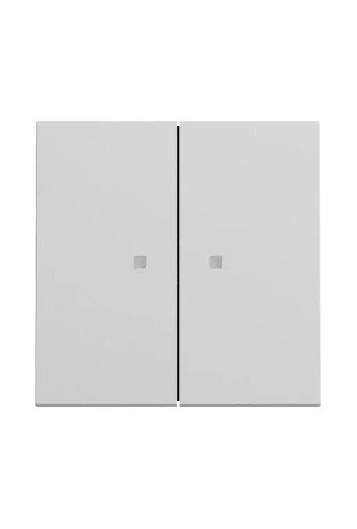 GIRA Wippe 2f Kontrollf. System 70 Grau m(lac k.)