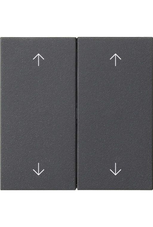 GIRA Wippe 2f Pfeile System 55 Anthrazit