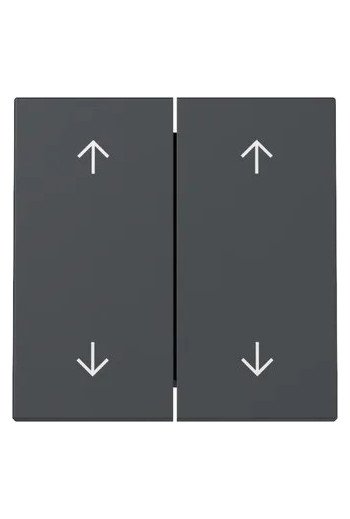 GIRA Wippe 2f Pfeile System 55 Anthrazit