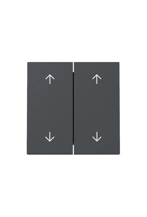 GIRA Wippe 2f Pfeile System 55 Anthrazit