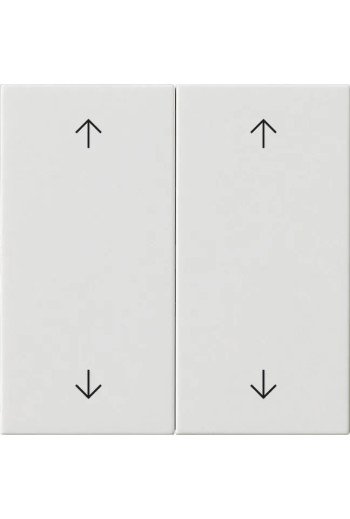 GIRA Wippe 2f Pfeile System 55 Reinweiß