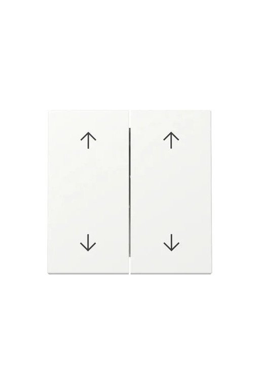 GIRA Wippe 2f Pfeile System 55 Reinweiß m