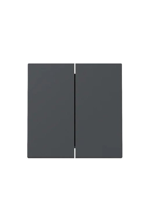 GIRA Wippe 2f System 55 Anthrazit
