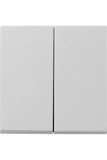 GIRA Wippe 2f System 55 Grau m