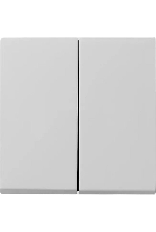 GIRA Wippe 2f System 55 Grau m