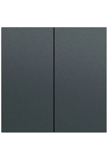 GIRA Wippe 2f System 70 Anthrazit(lack.)