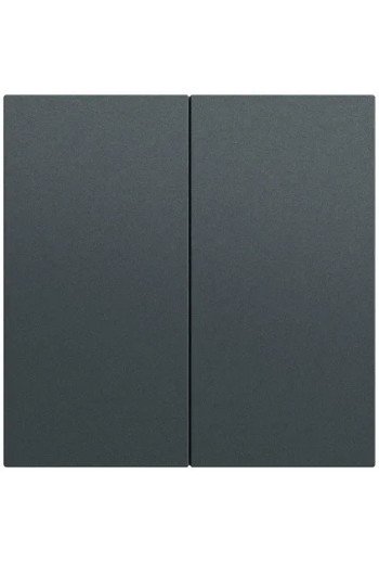 GIRA Wippe 2f unbedruckt System 70 Anthrazit( lack.)