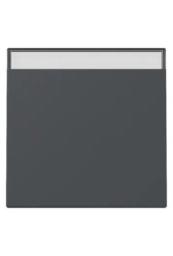 GIRA Wippe BSF System 55 Anthrazit