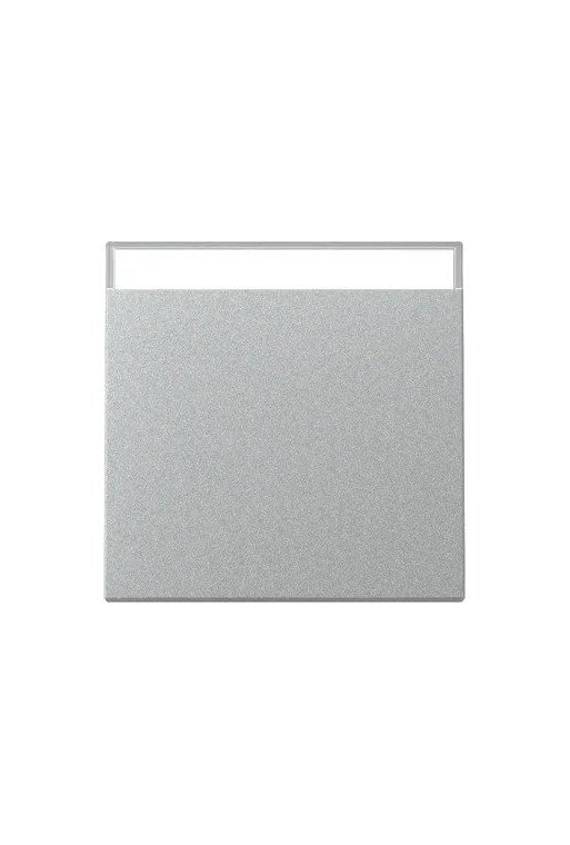 GIRA Wippe BSF System 55 F Alu